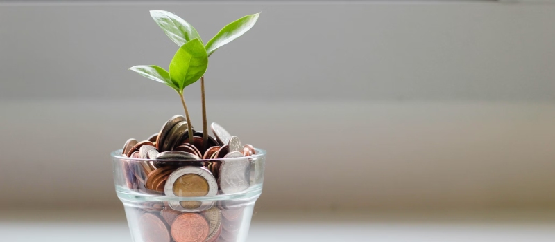 Glazen potje gevuld met muntstukken vanwaar uit een plant groeit.